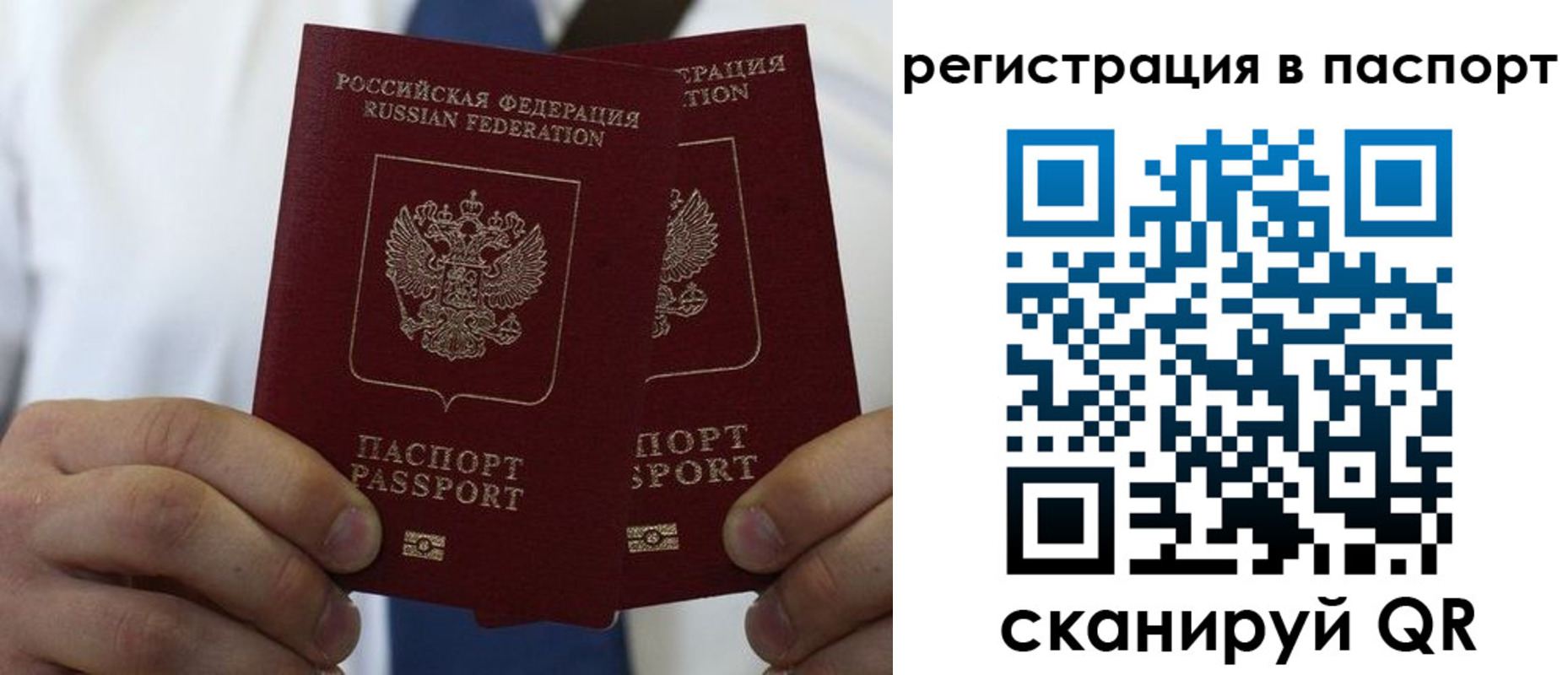 прописка в квартире в Мытищах